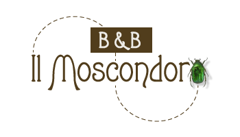 Il Moscondoro B&B - Affittacamere